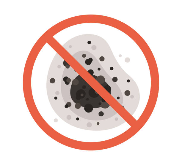 Meadow Lakes, AK Mold Removal Company
