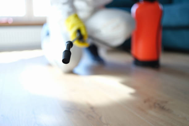 Best Asbestos and Lead Testing During Mold Inspection  in Meadow Les, AK