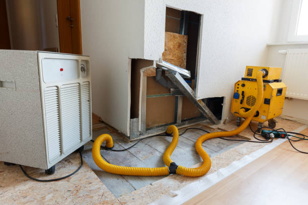 Best Emergency Mold Remediation  in Meadow Les, AK