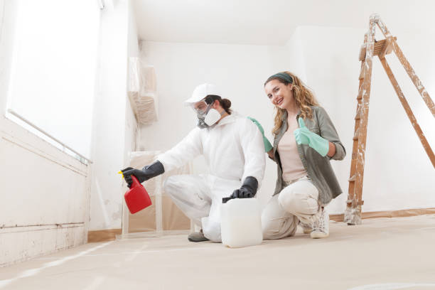 Best Mold Prevention Services  in Meadow Les, AK